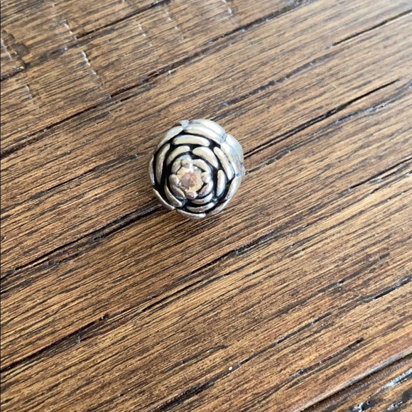 Pandora blooming rose - Picture 2 of 4